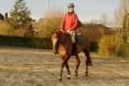 Franck enfin à cheval ! Franck enfin à cheval !
