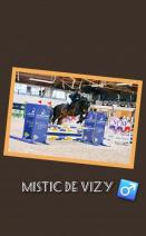 Mistic de Vizy Mistic de Vizy