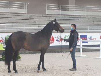 Régional des 3 ans Régional des 3 ans