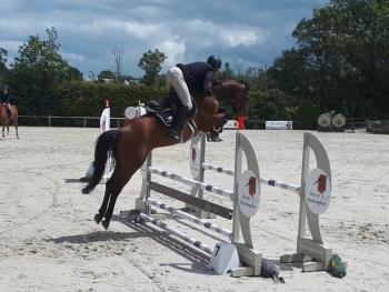 Bonne reprise des concours pour les jeunes chevaux