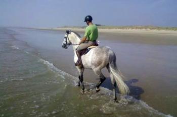 L'air vivifiant de la mer !