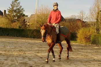 Franck enfin à cheval ! Franck enfin à cheval !