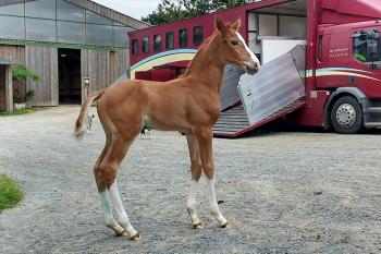 Naissance Naissance