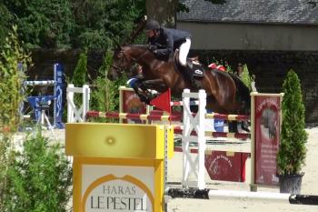 Championnat Amateur Elite