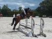 Bonne reprise des concours pour les jeunes chevaux