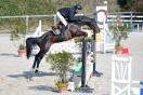 Nouvelle fiche cheval à vendre Nouvelle fiche cheval à vendre