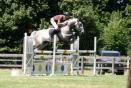 Cheval à vendre de 6 ans Cheval à vendre de 6 ans
