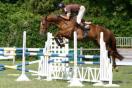 Cheval de 6 ans à vendre Cheval de 6 ans à vendre