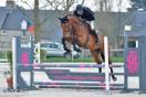 Bons comportements des jeunes chevaux à St Lô