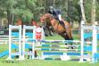 Arkan Z, mâle par Arko, finale des 4 ans à Fontainebleau.