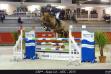 Urphea de Denat au CSI* de Saint-Lô en 2015.