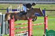 Syrus à la finale nationale des 6 ans de Fontainebleau - Photo : Pict'horse.fr