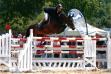 Jument à vendre par Flipper d'Elle - Grand Prix 135 à Saint Gervais.