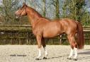 Idriss de Vizy Idriss de Vizy